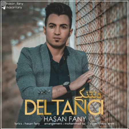 حسن فانی دلتنگی